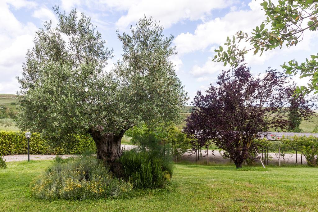 مونتايون La Leopoldina Holiday Home المظهر الخارجي الصورة
